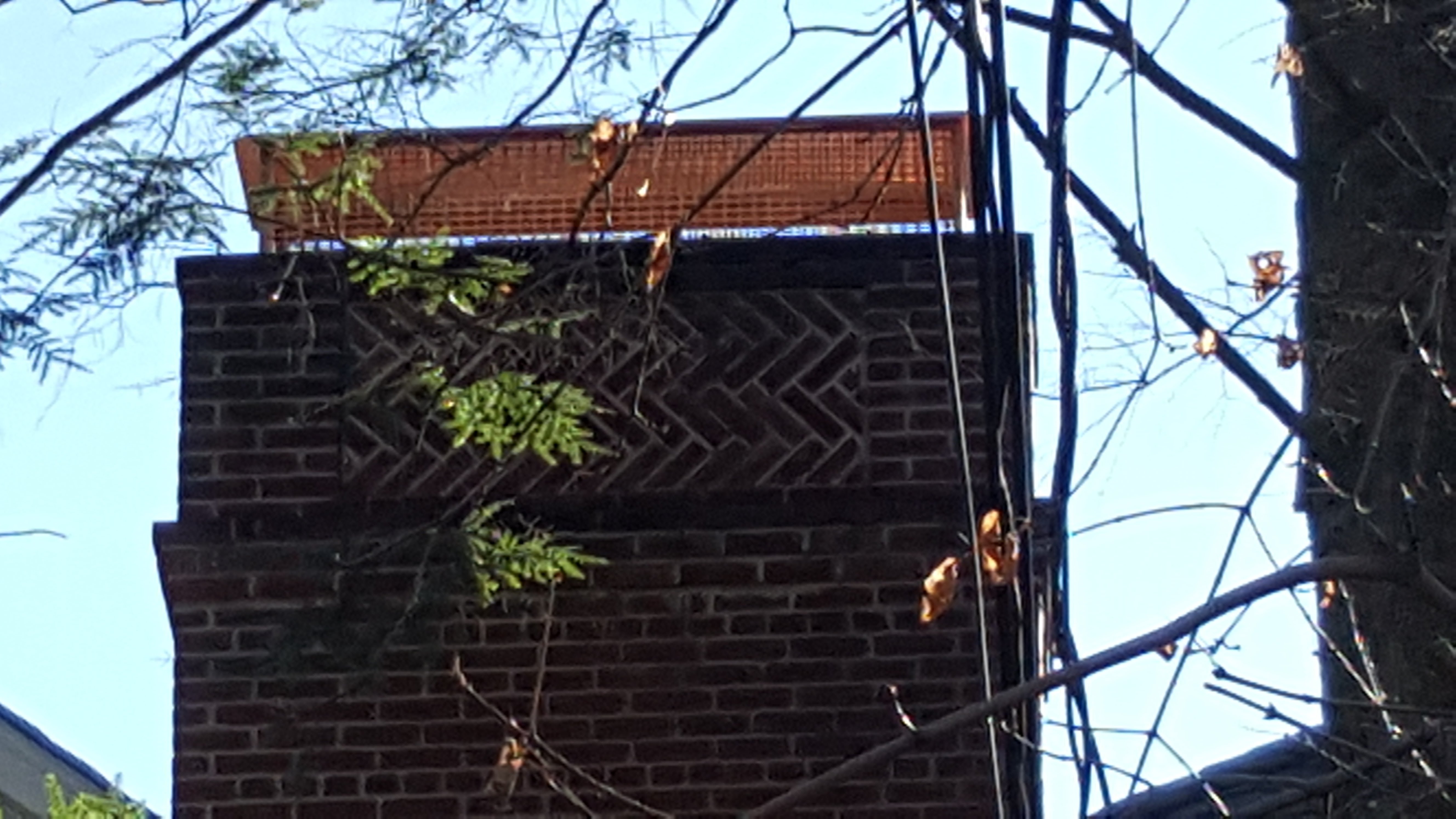 Animal-proof chimney cap protecting home in Franklin Square, New York